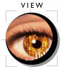 View Live Web Cams